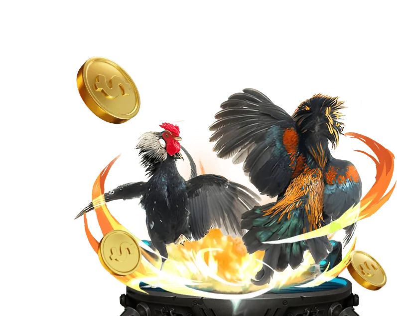 Đá gà cựa sắt kịch tính tại 13win1 casino